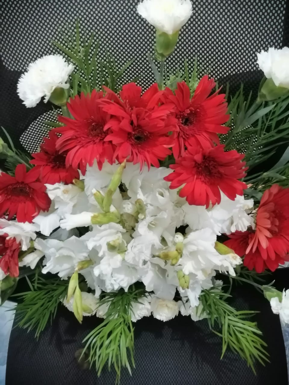 DailyBloom
